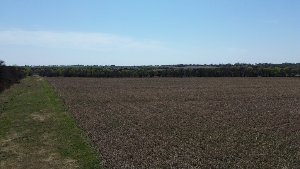 Picture 17