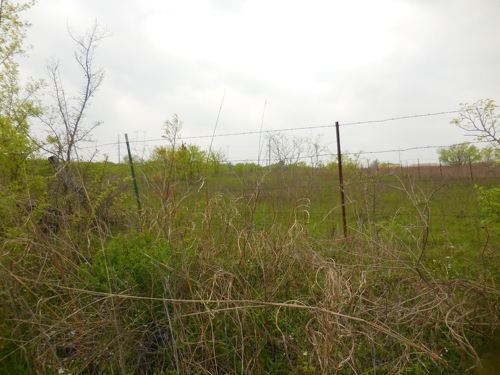 Picture 5