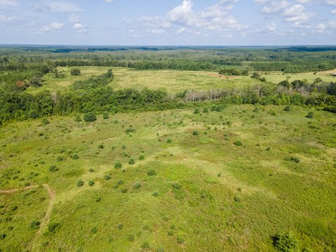 LAND - DeFuniak Springs, FL