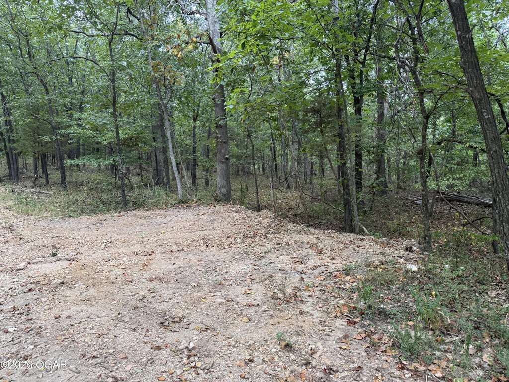 Picture 14
