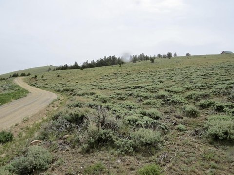 Residential Land - Dubois, WY