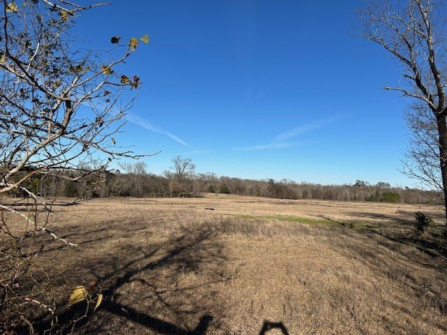 Picture 18