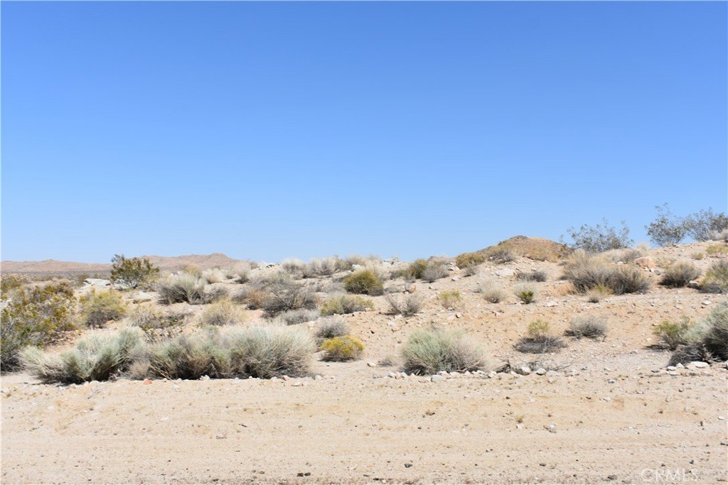 Picture 14