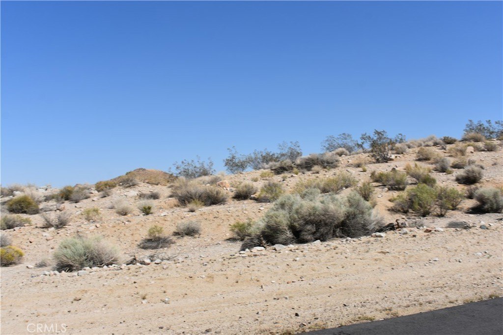 Picture 13