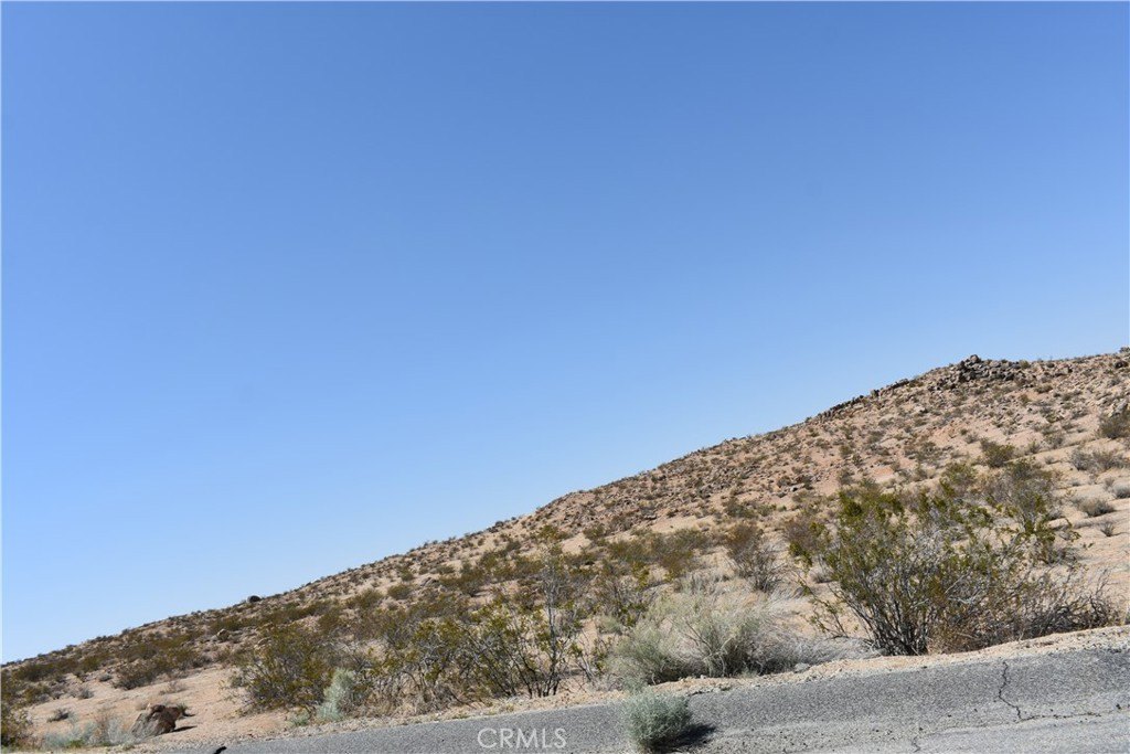 Picture 6