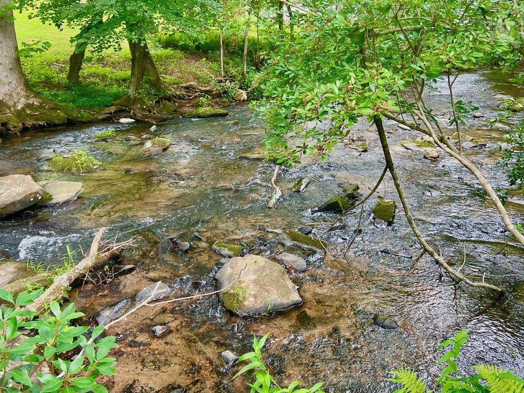 Picture 22