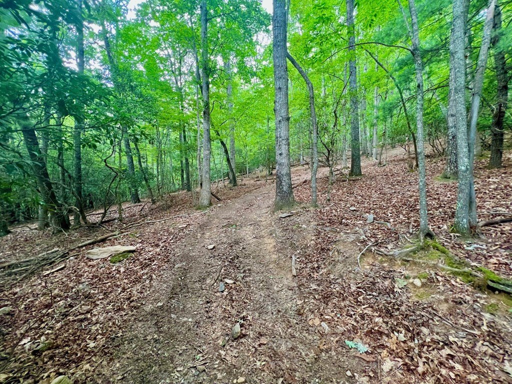 Picture 17