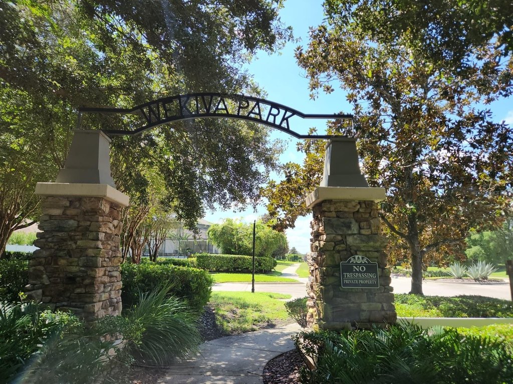Picture 33