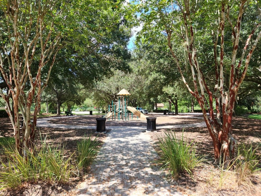 Picture 25