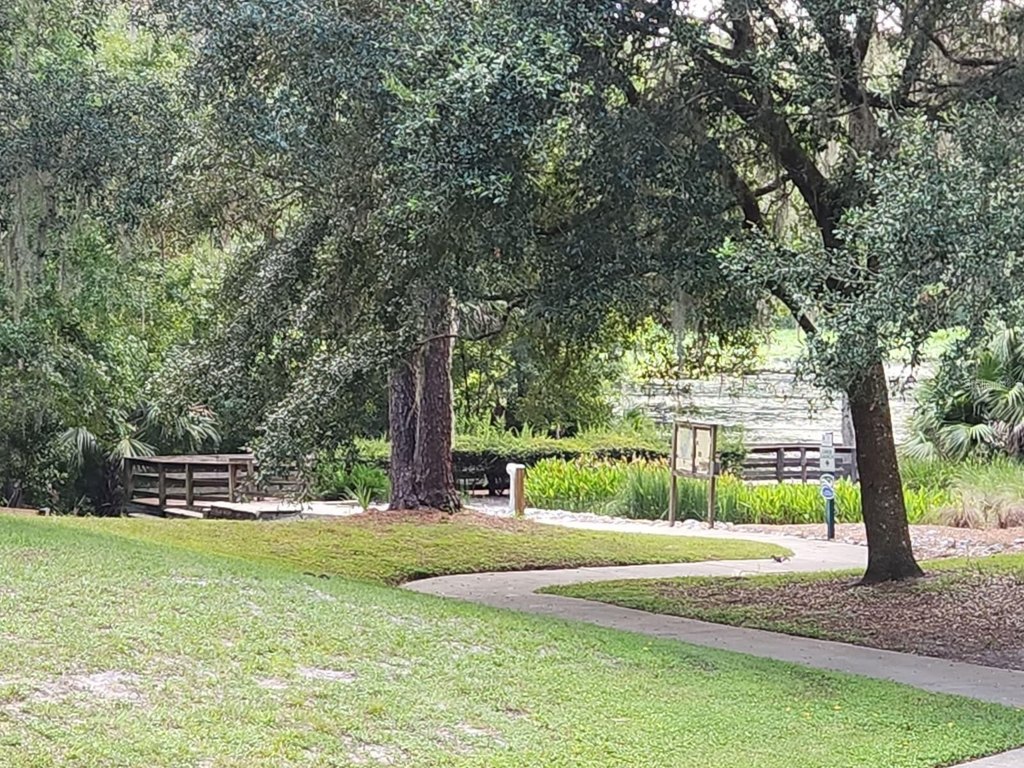 Picture 42