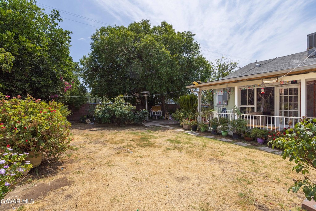 Picture 48