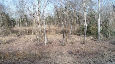 Residential Land in Greenbrier, AR