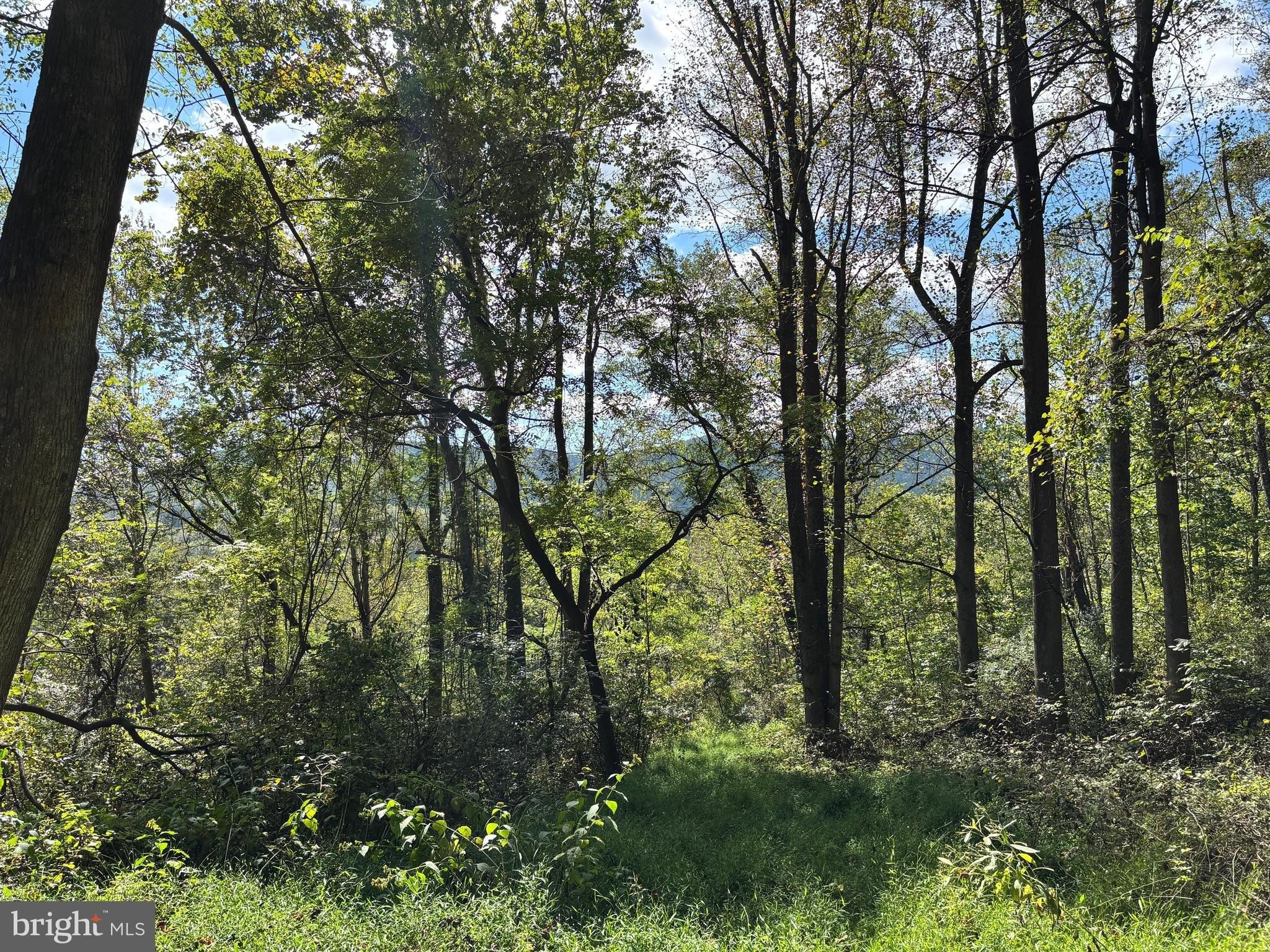 Land in Rappahannock County, VA