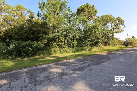 LAND - Orange Beach, AL