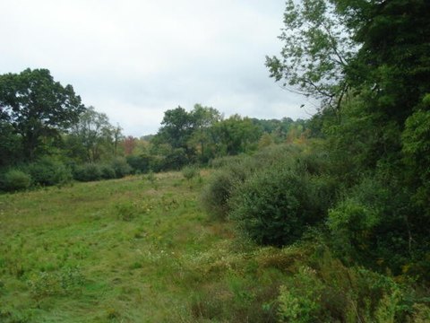 29.59 Acres Vacant Land