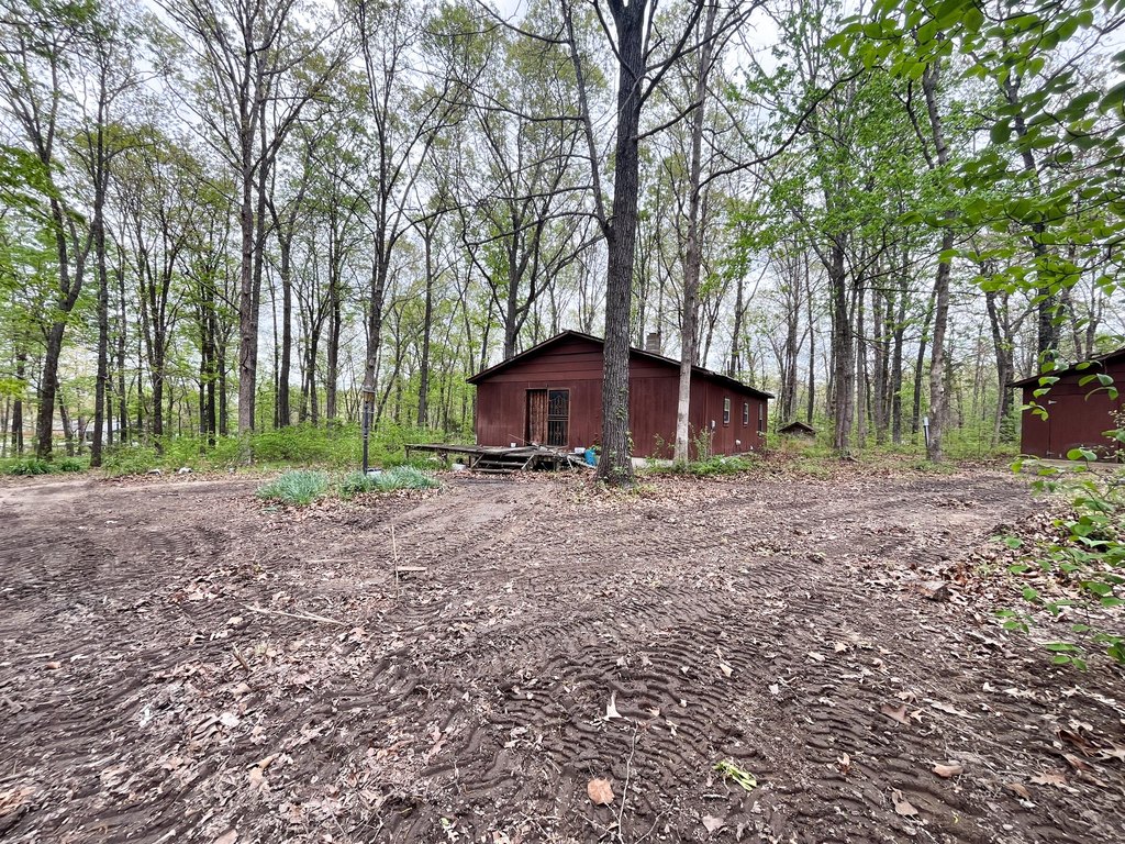Picture 6