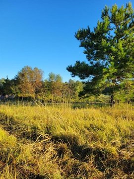 Waycross Lakefront Lot For Sale