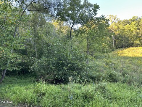 Land, Rogersville, TN
