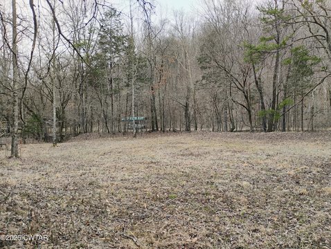 Clifton, TN Land Opportunity