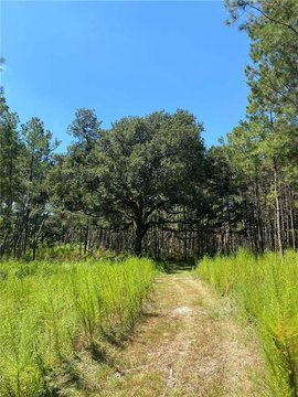 Land, Holden, LA