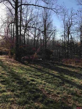 Vacant Land, Viola, AR