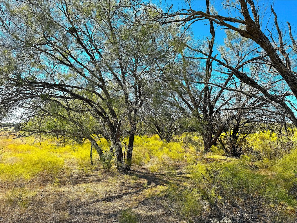 Picture 18