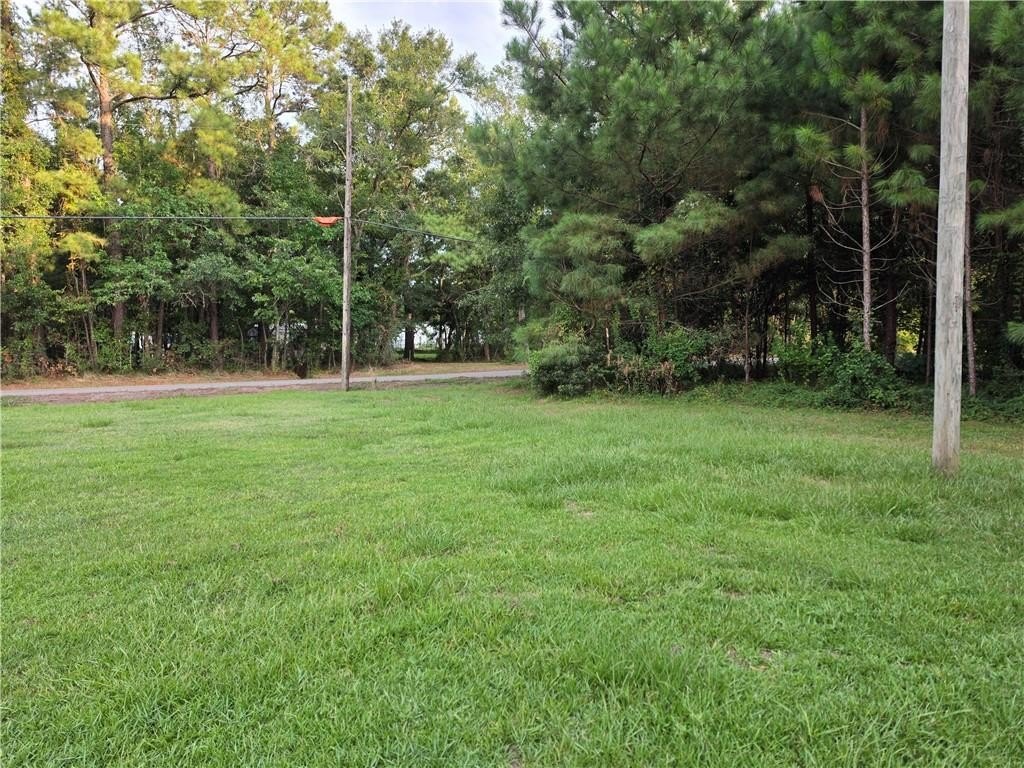 Picture 6