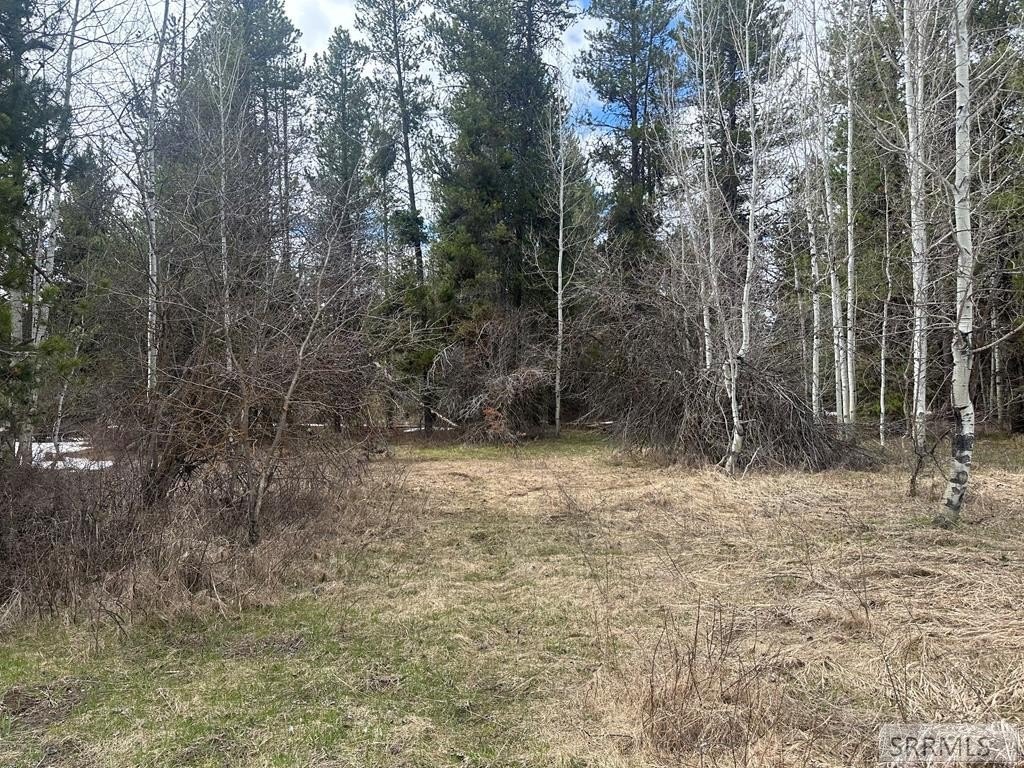 Picture 5