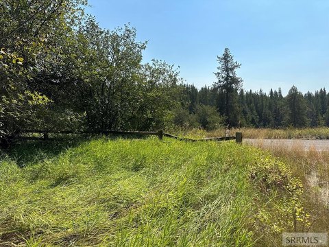 LAND - Ashton, ID