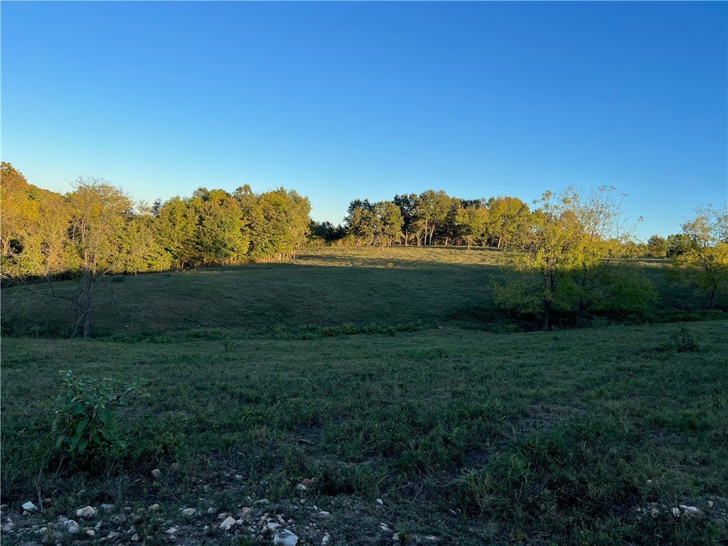 Picture 17