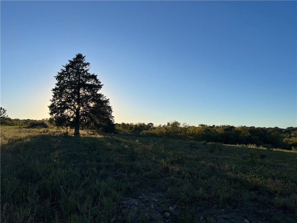 Picture 16