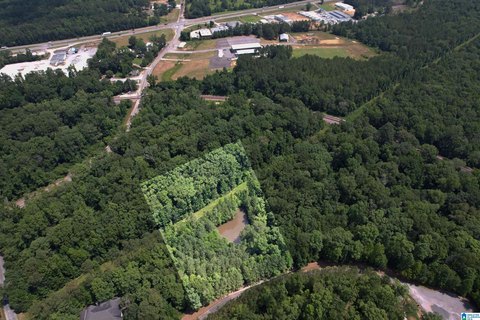 LAND/LOTS, HARPERSVILLE, AL