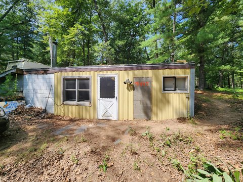 Wooded Lots with Cabin