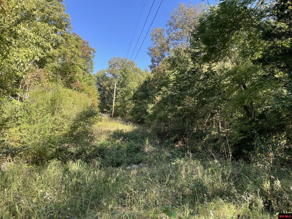 Picture 24