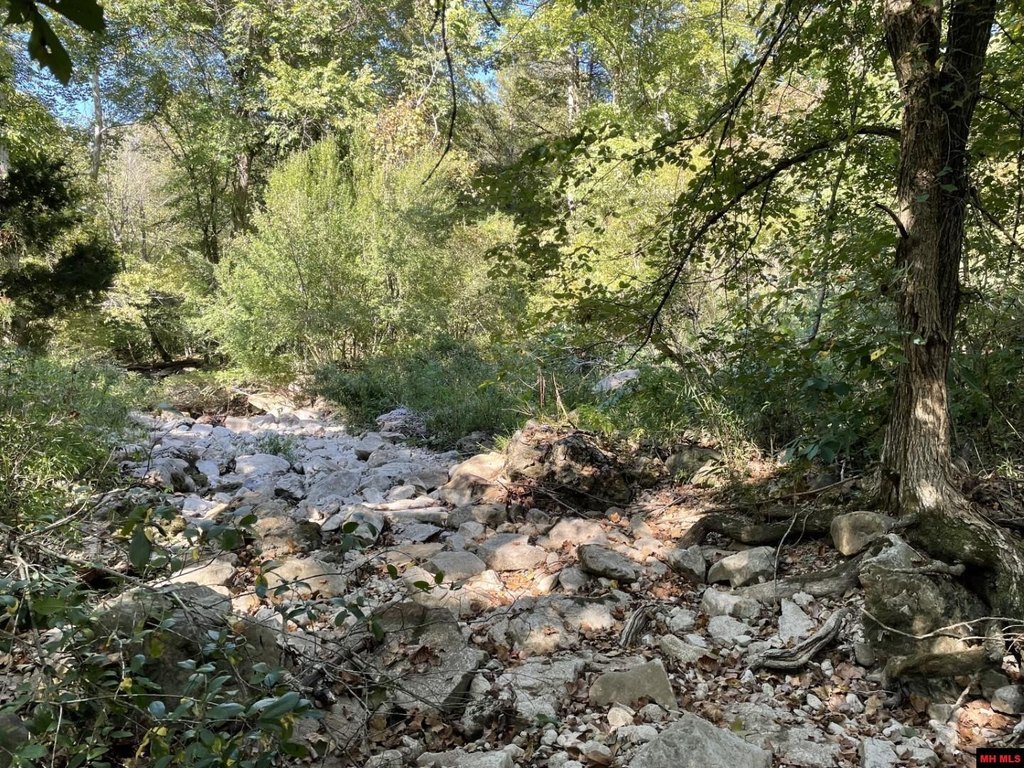 Picture 27