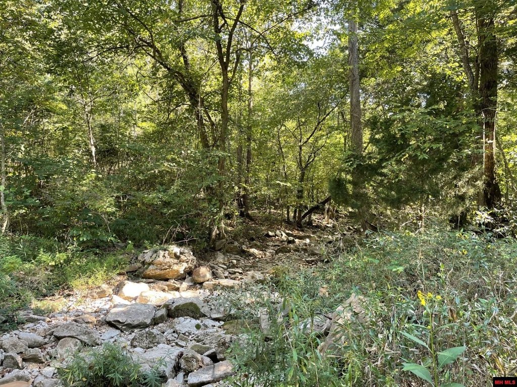 Picture 25