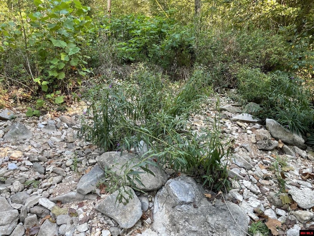 Picture 33