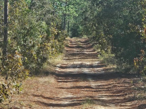 Residential Buildable Land Parcel