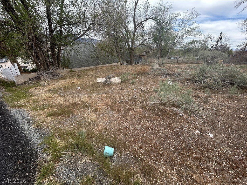 Picture 6