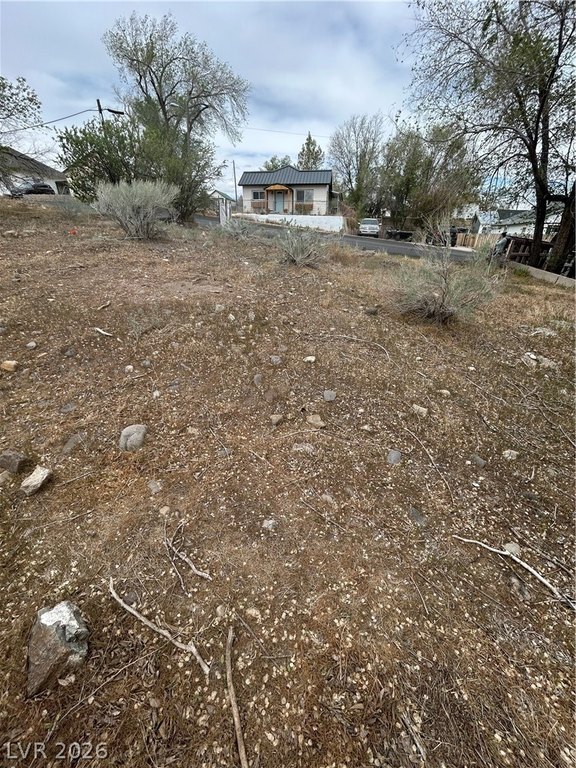 Picture 7