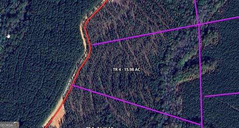 Heard County Wooded Land Parcel