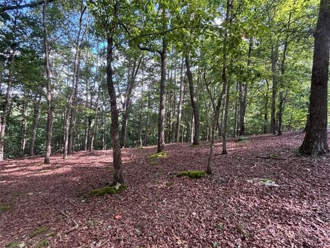 Land, Blairsville, GA
