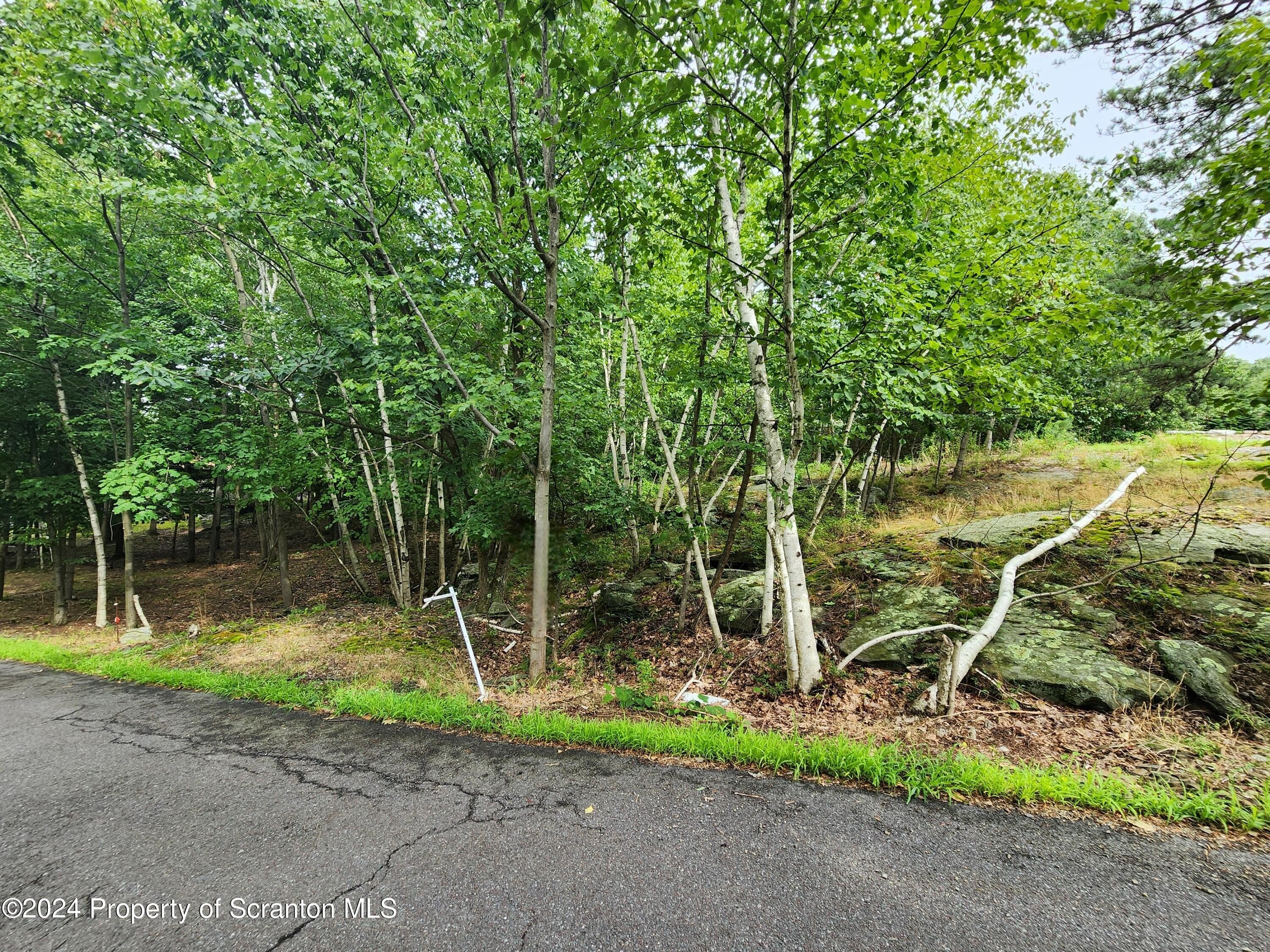 Land in Dunmore, PA