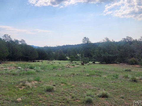 LAND - Texas Creek, CO