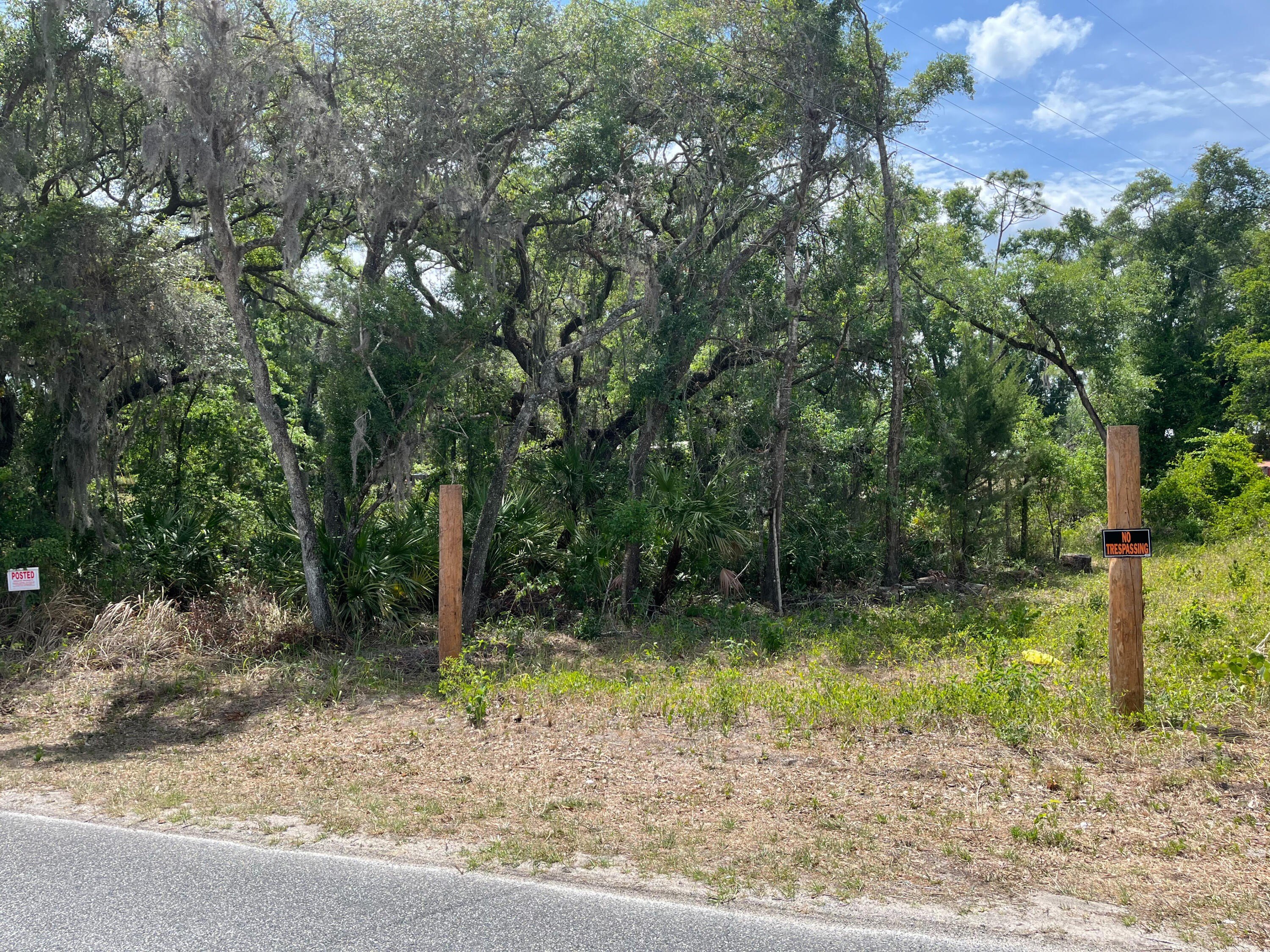 Residential Lot in Trenton, Florida