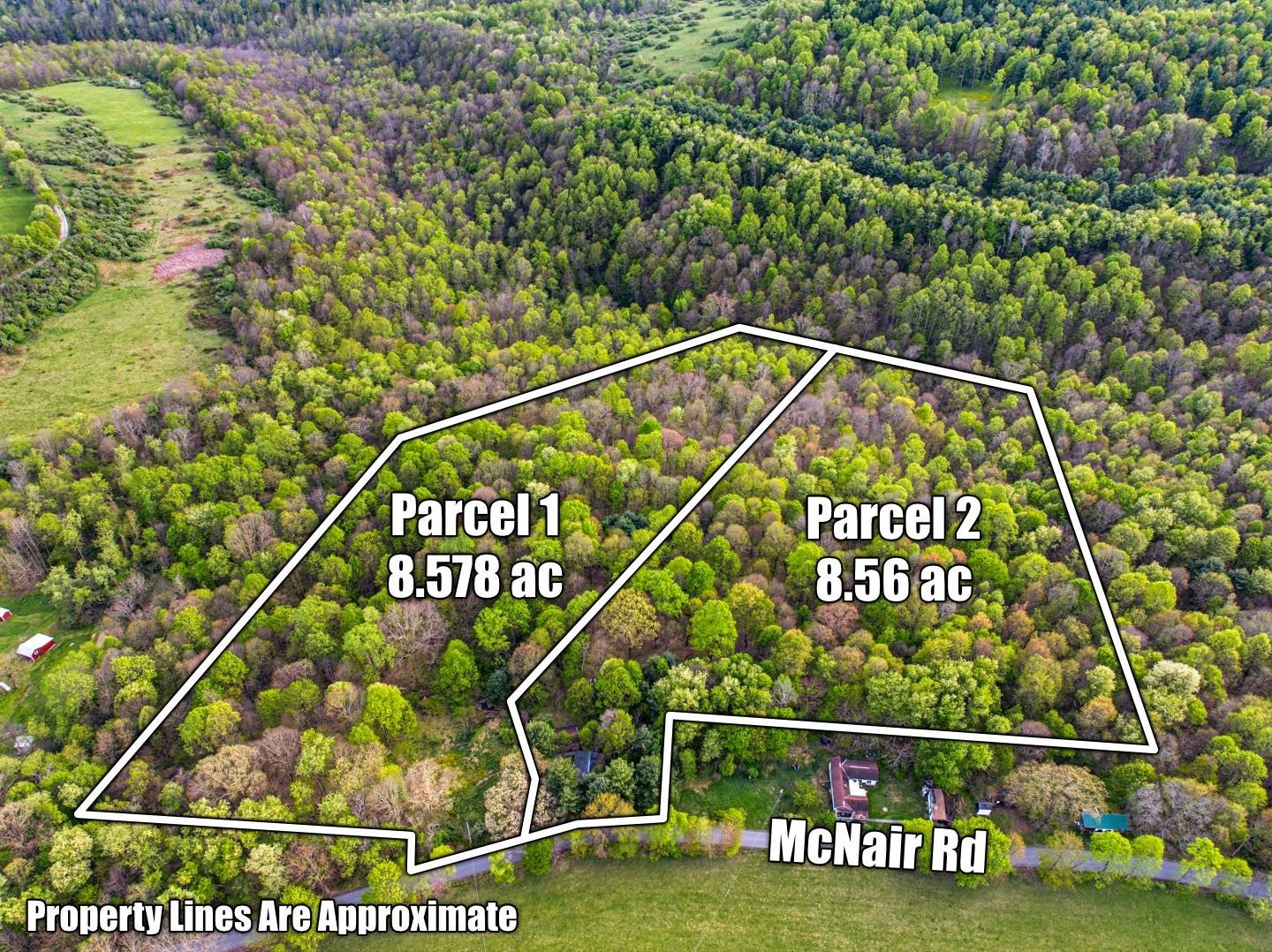 Albright, WV: 17+ Acres Land