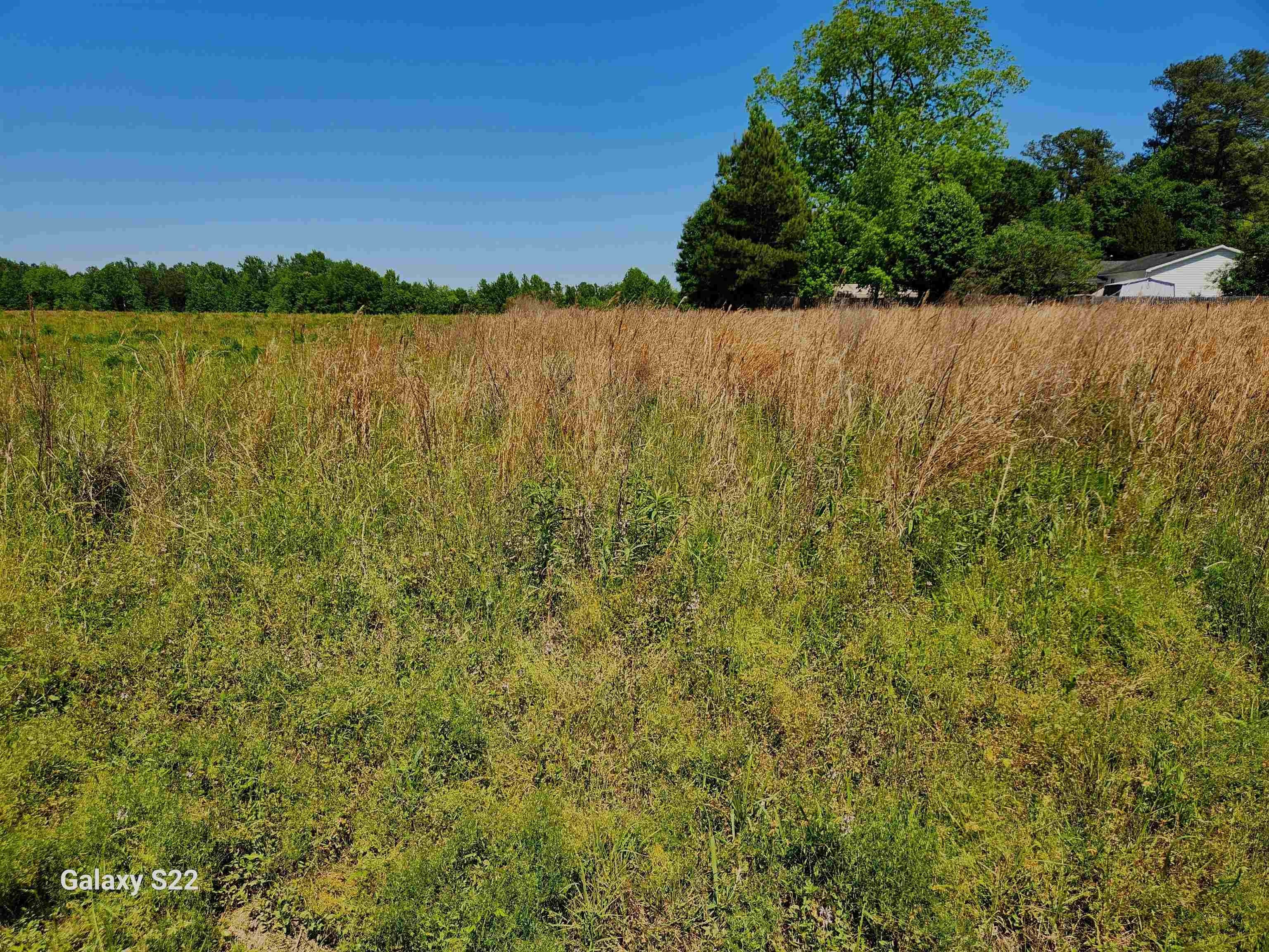 Land For Sale, Nichols, SC