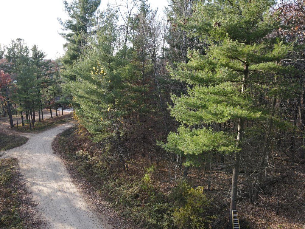 Picture 2
