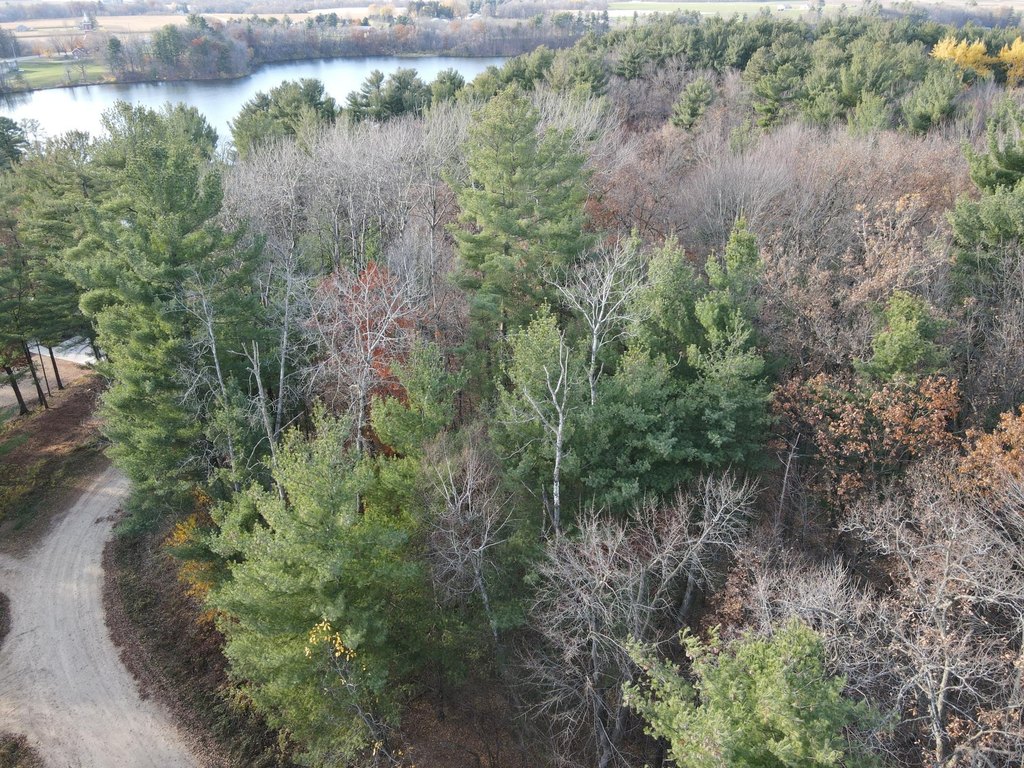 Picture 3