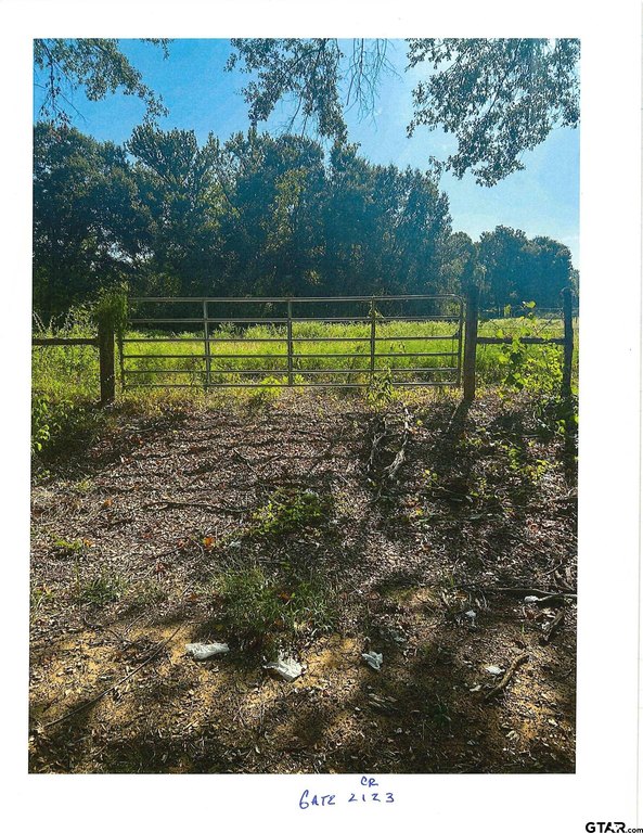 Picture 15